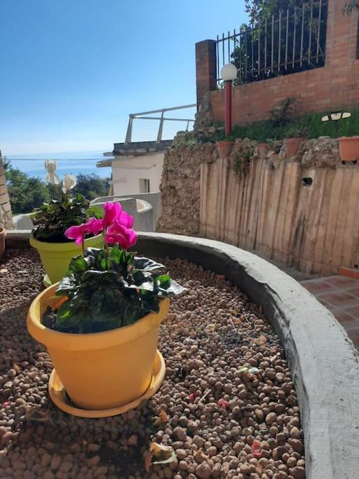 Torre Del Meridiano Casa Vacanze Centrale Termoli Εξωτερικό φωτογραφία
